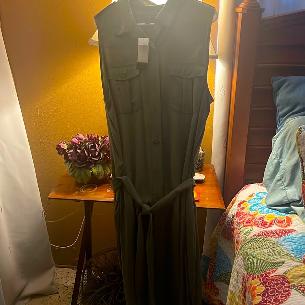 NWT…Banana Republic Dress Olive Green